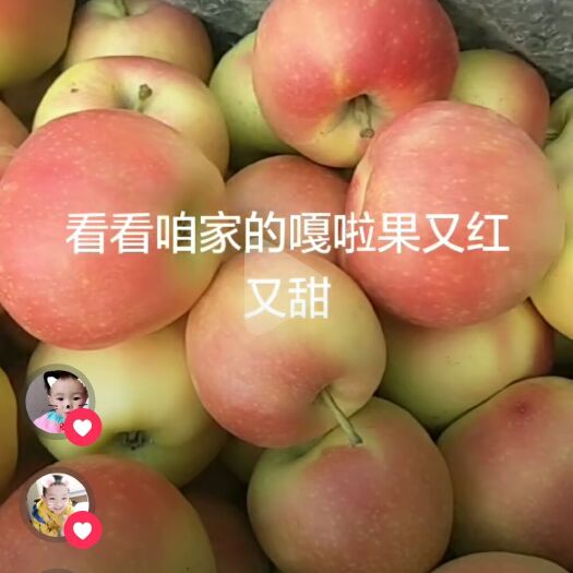 临猗县 2020新鲜嘎啦苹果现摘现发正宗脆甜水果非红富士3/5/10