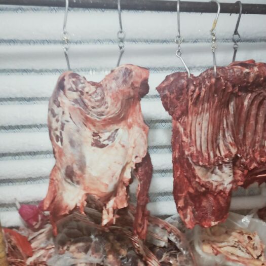 郑州驴腰子  新鲜现杀驴肉，驴副，驴下水