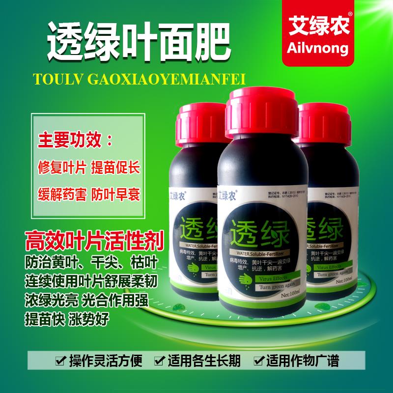 叶面肥  绿叶先锋透绿黄叶干尖一喷绿叶菜葱姜蒜韭菜干尖一遍见