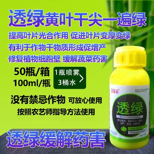 叶面肥  绿叶先锋透绿黄叶干尖一喷绿叶菜葱姜蒜韭菜干尖一遍见