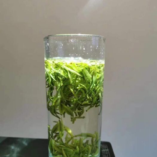 黄山高山野生茶 黄山野茶，荒野高山上精灵