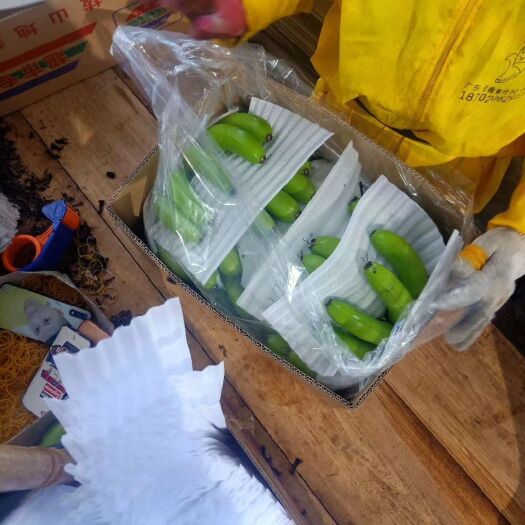 澄迈县海南蕉 八成熟