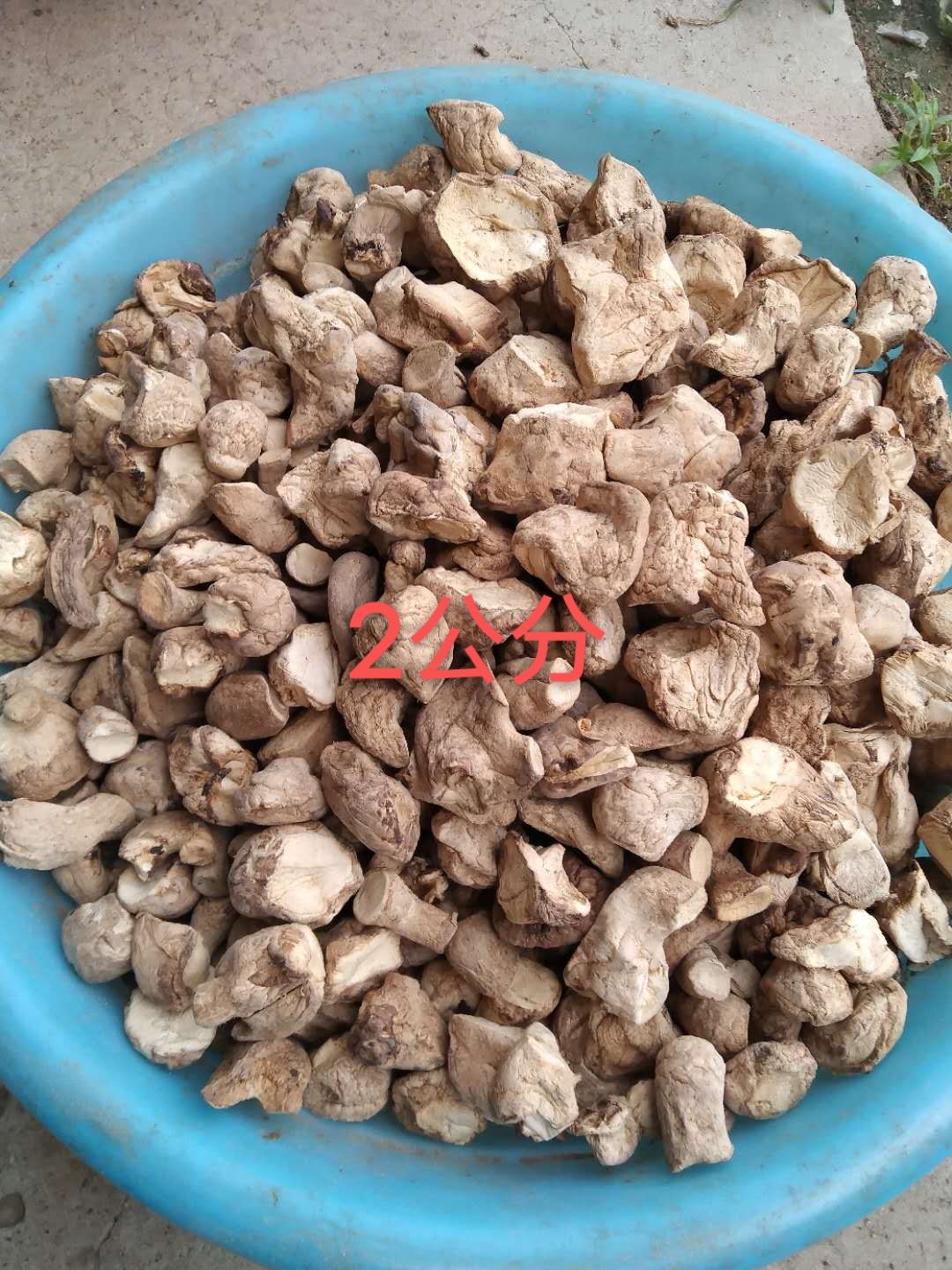 香菇脚，各种规格，年供应量500吨对接食品加工厂
