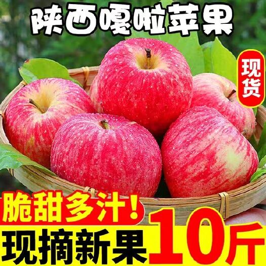 礼泉县嘎啦苹果  苹果水果新鲜当季脆甜陕西红富士苹果冰糖心丑苹果