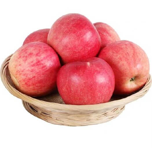 嘎啦苹果  陕西苹果头茬新果10斤红富士新鲜水果酸甜红苹