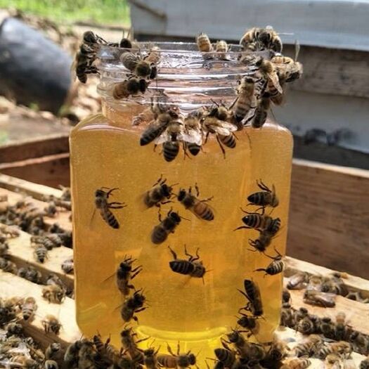 阜平县 深山纯蜂蜜大自然产品