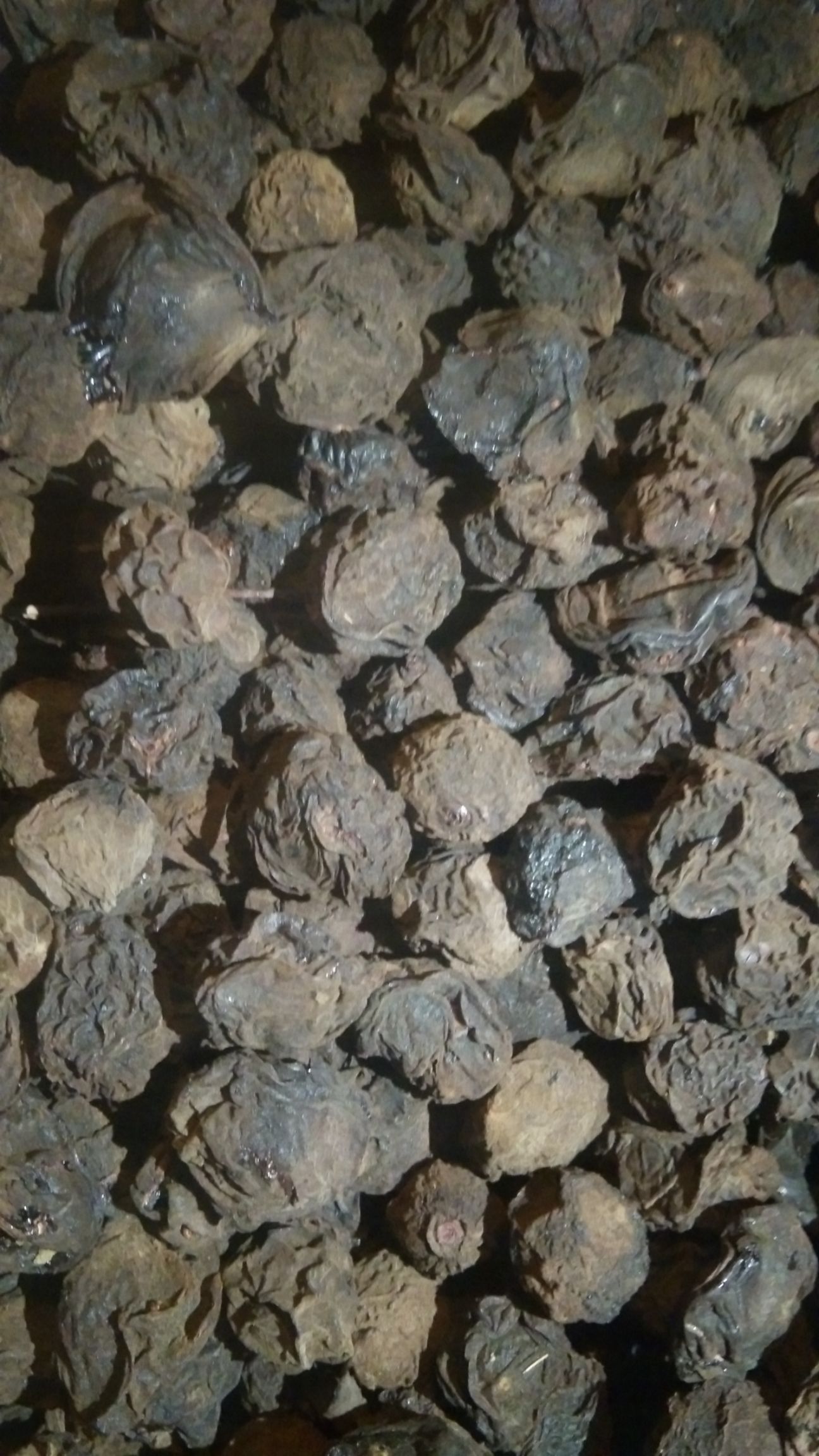 乌梅干  乌梅，制乌梅汤的，