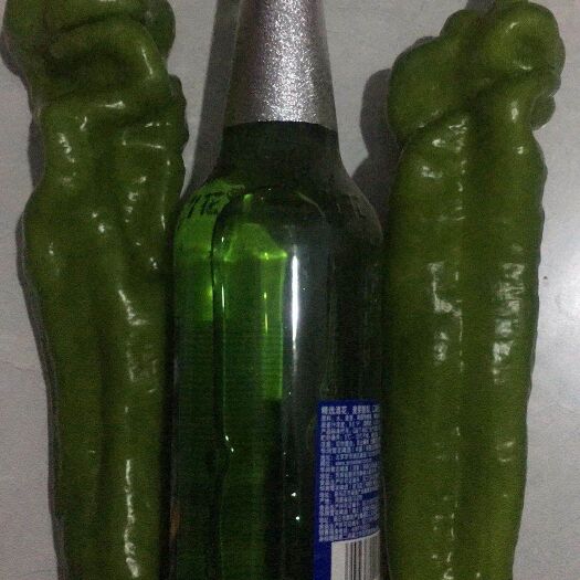 夏邑县 精品辣椒，大量供应