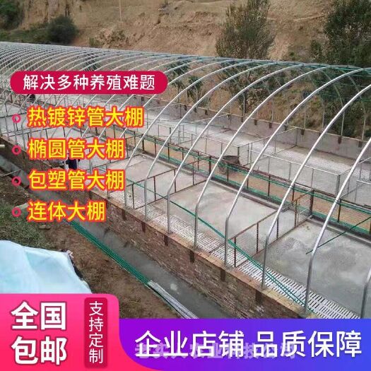 东海县养殖大棚 温室大棚骨架 625  825  832 椭圆管养殖棚