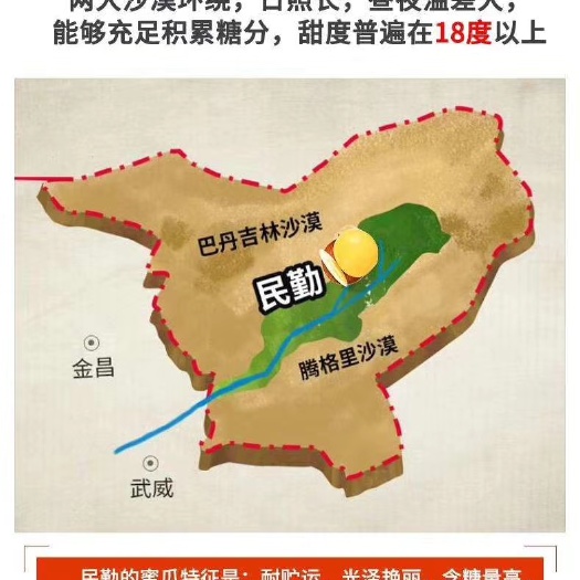 民勤县 甘肃民勤蜜瓜金红宝蜜瓜