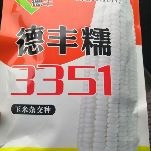 武威 出售粘糯玉米种子