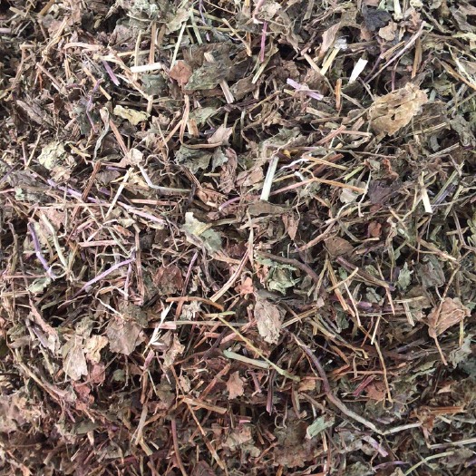 玉林透骨草  透骨消