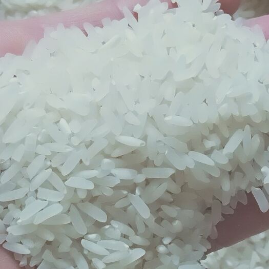 邛崃市宜香优2115大米 宜香2115，自家种植生态香米新米还有手工挂面8元一把