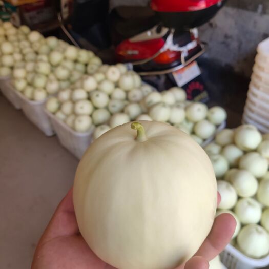 衡阳县香蜜900 开土香瓜！肉心厚脆甜卖相好﹉