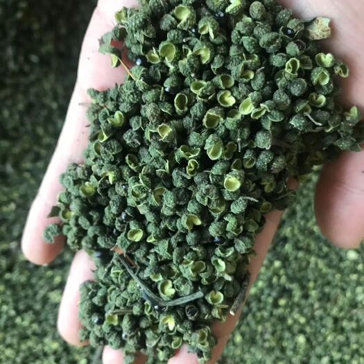 通江县 干青花椒