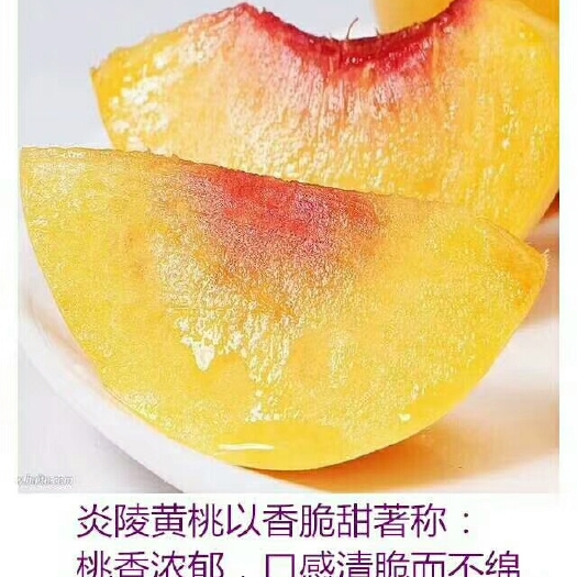 炎陵县 炎陵高山黄桃