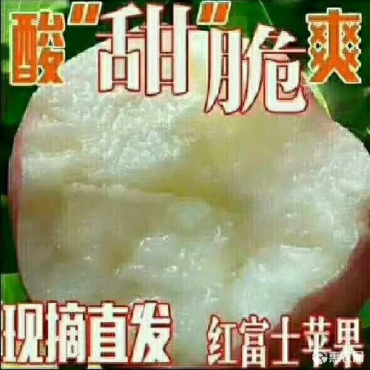 临猗县 黄土高坡特产新鲜嘎啦苹果现摘现发！