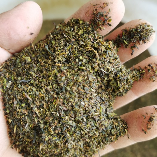 揭阳凤凰单枞 单丛末