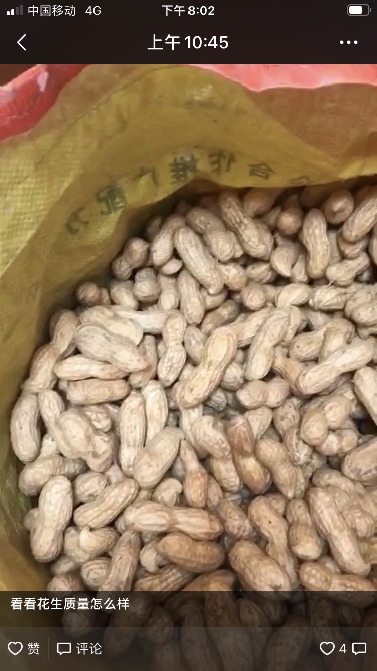 鲜花生  新鲜大果花生