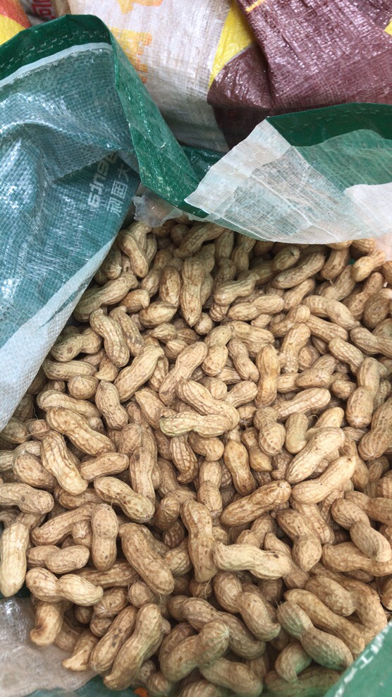 鲜花生  新鲜大果花生