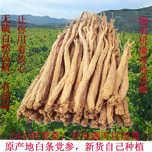宕昌县【爆卖上吨】  白条党参新货，甘肃原产地
