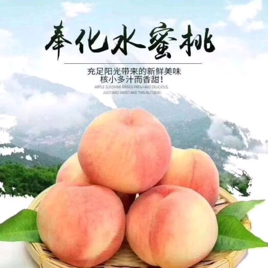 宁波 农家自己高山水蜜桃