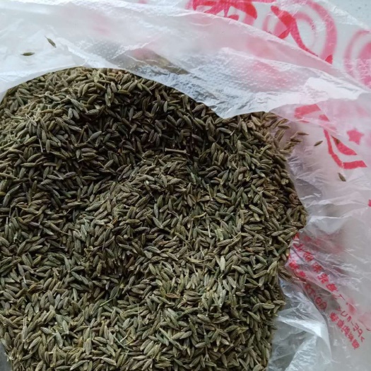 郑州 纯新疆孜然