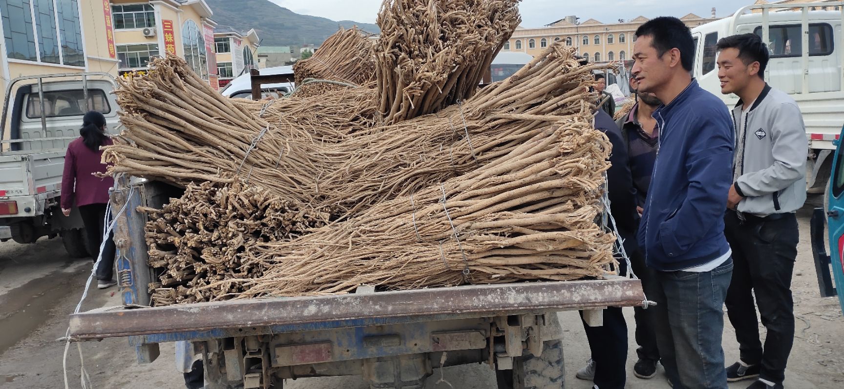 白皮芪   【量大包邮】精选特大精芪产地直供一手货源