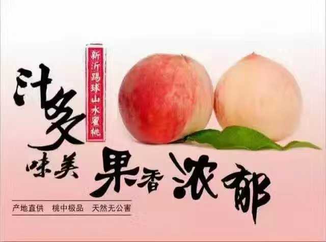 新沂市新沂水蜜桃 55mm以上 4两以上
