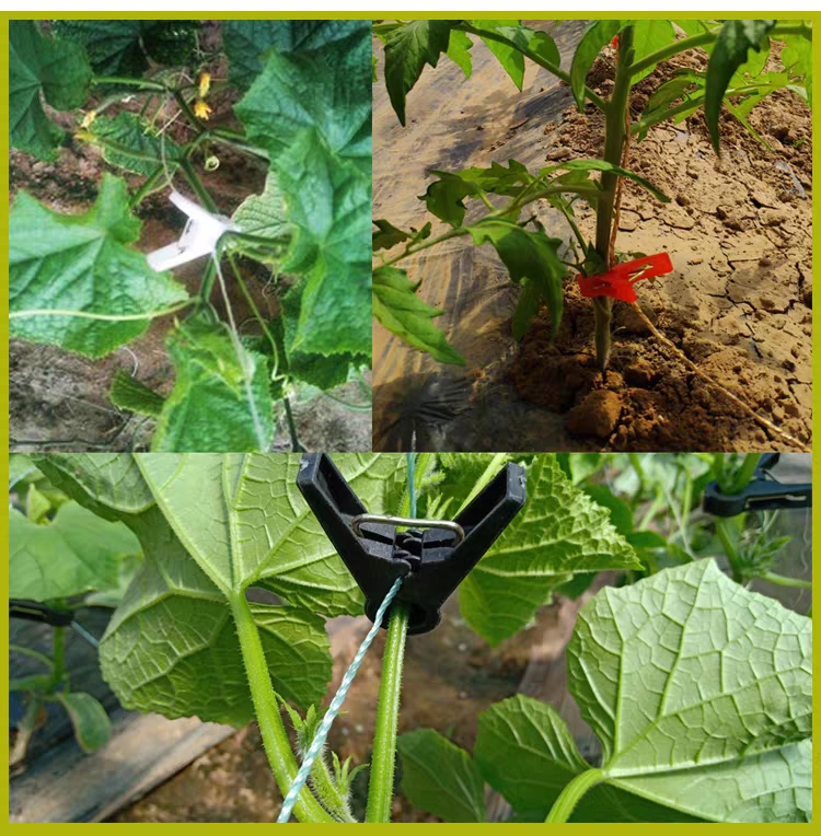 熟料绑蔓夹绑秧夹吊秧夹吊蔓夹黄瓜西红柿辣椒西瓜大棚蔬菜夹子