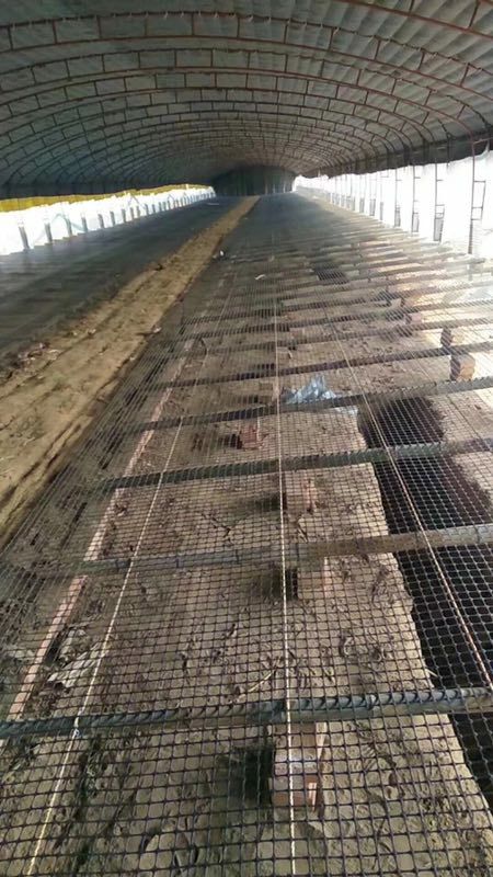 塑料围栏网  塑料养殖网鸡鸭鹅漏粪网围栏网防护网大棚防雨水网