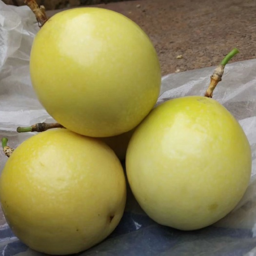灵山县黄金百香果.8至5个头一斤.只做精品果欢迎电商批发商合作