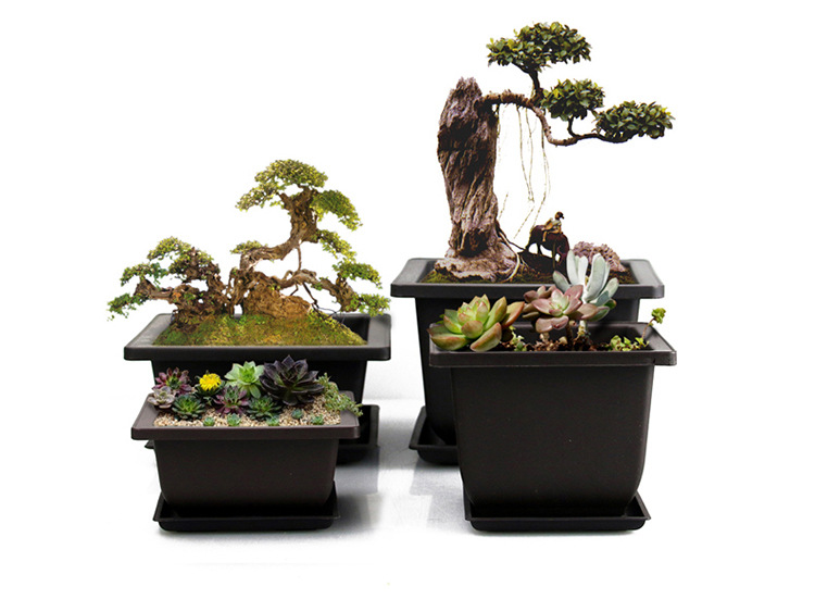 花盆 仿紫砂 多肉 正方形长方形塑料 小盆栽小盆景种植