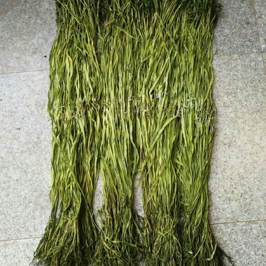 睢宁县贡菜干  贡菜也叫苔干，纯绿色产品，清脆爽口，营养丰富，凉拌