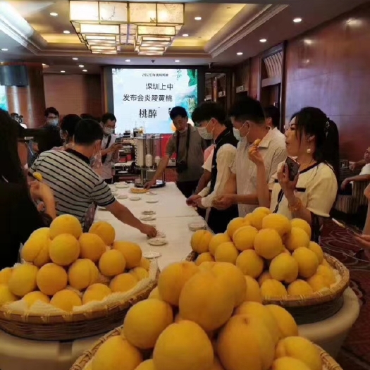 炎陵县 中国最好吃的黄桃，炎陵黄桃，正宗炎陵黄桃味道就是不一样。