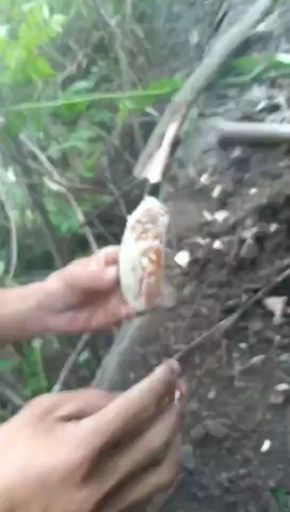 镇宁县 正宗*生蜂蜜假一赔一万，美容，孕妇！