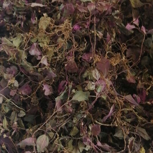 雅安 风柜斗草足干货