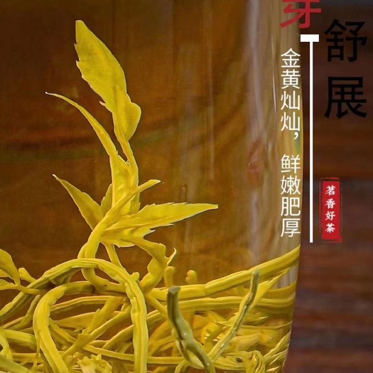 凤凰县白雪茶 凤凰雪茶大量供应