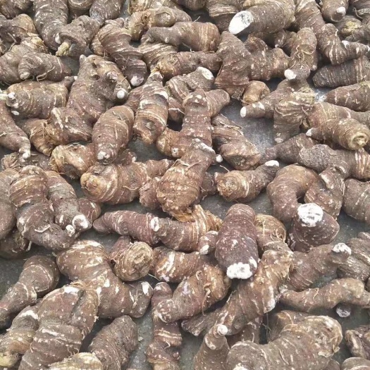 我们合作社有大量重楼干货出售   价格合理  质量保证