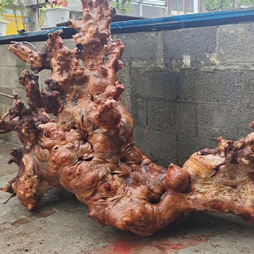 兴仁市 有缘根雕材料