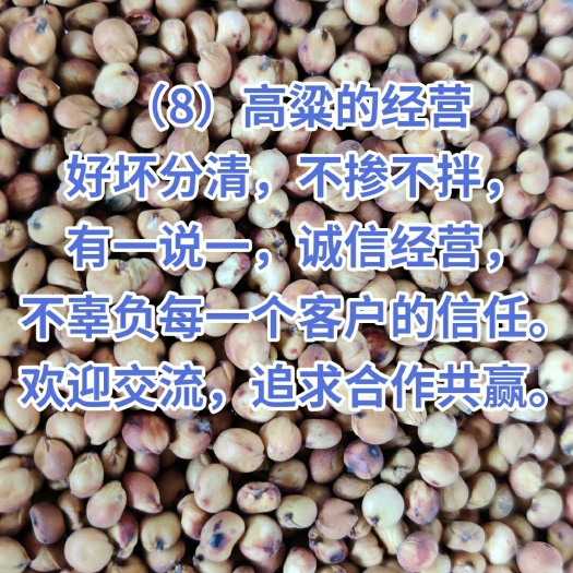 龙江县龙杂7号高粱 1等品 霉变 ≤1%