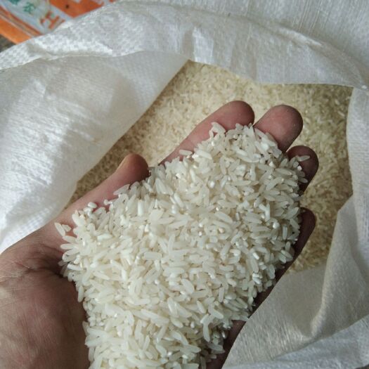 梅州珍桂矮  农村香米