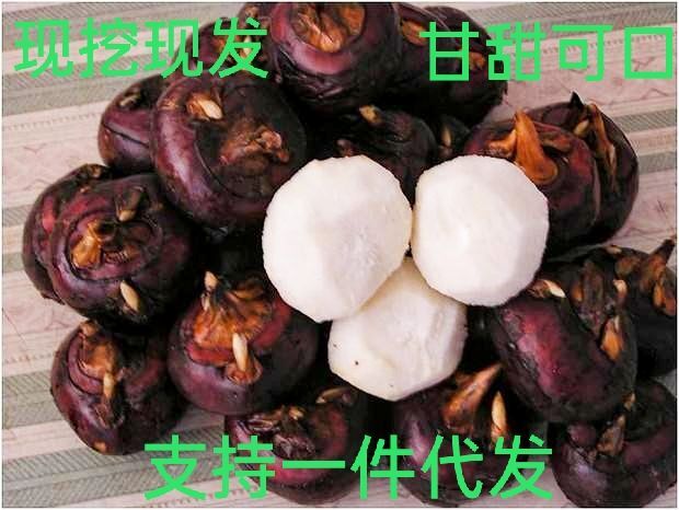 枝江市红梗马蹄  农家人工现挖，分拣，欢迎商超，酒店，电商，企业单位来电