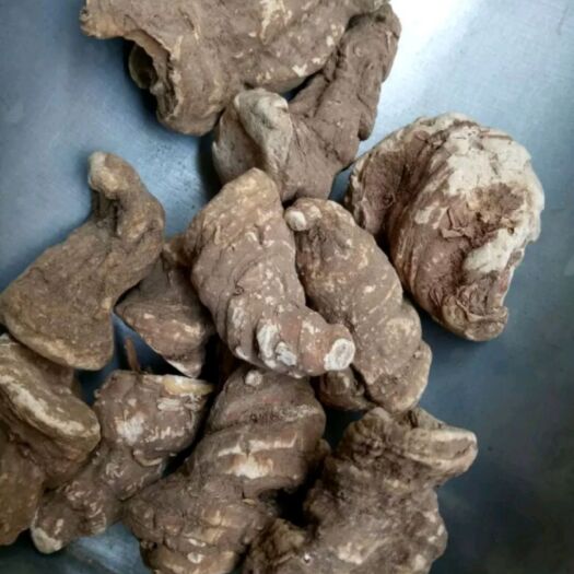 佛山云南滇重楼 七叶一技花