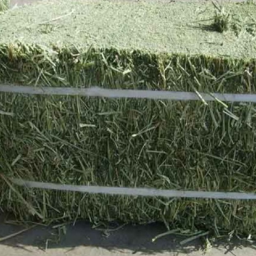 玉米青贮草 粗加工饲料，全囯到货