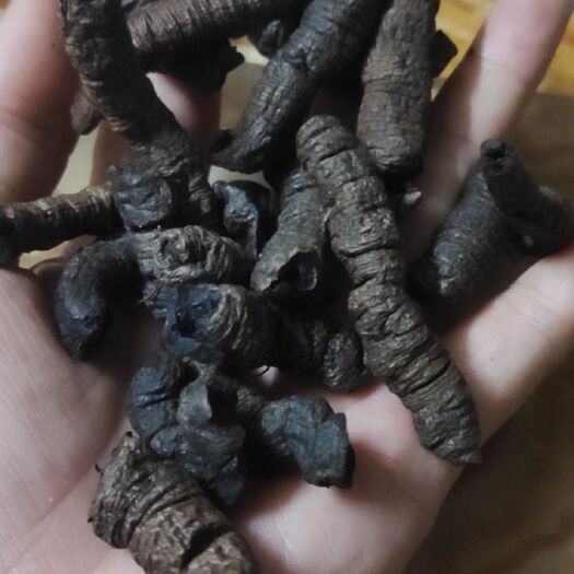 东源县中药材乌枣
