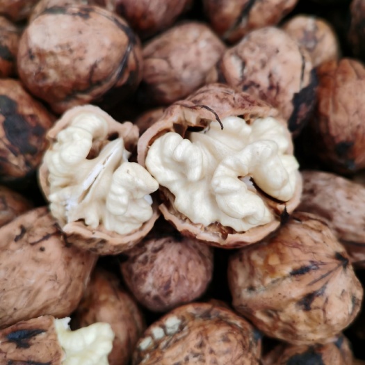 盐源县大优1号 纯绿色，健康食品，吃的放心
口感香味十足
