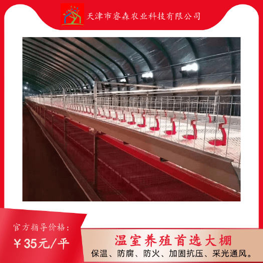 天津养殖大棚 蛋鸡养殖 肉鸭养殖 饲料大棚 育雏大棚