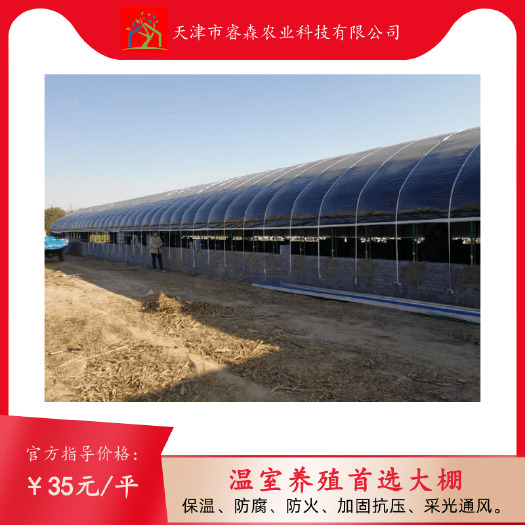 天津钢管大棚 智能温室大棚（质保1-10年）已安装