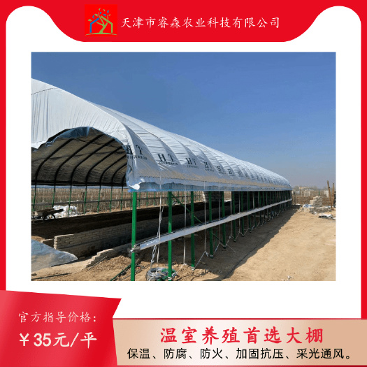 天津 养殖大棚 养牛大棚  温室养殖大棚